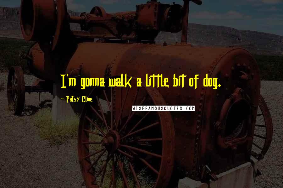 Patsy Cline quotes: I'm gonna walk a little bit of dog.