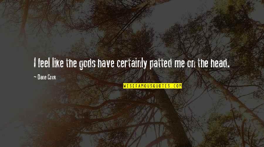 Patted Quotes By Dane Cook: I feel like the gods have certainly patted