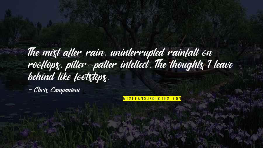 Patter Quotes By Chris Campanioni: The mist after rain, uninterrupted rainfall on rooftops,