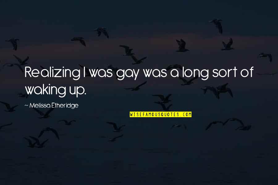 Paukner Lanzarote Quotes By Melissa Etheridge: Realizing I was gay was a long sort Paukner Lanzarote Quotes By Melissa Etheridge: Realizing I was gay was a long sort