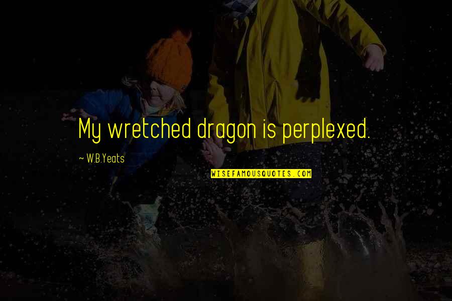 Paukner Lanzarote Quotes By W.B.Yeats: My wretched dragon is perplexed. Paukner Lanzarote Quotes By W.B.Yeats: My wretched dragon is perplexed.