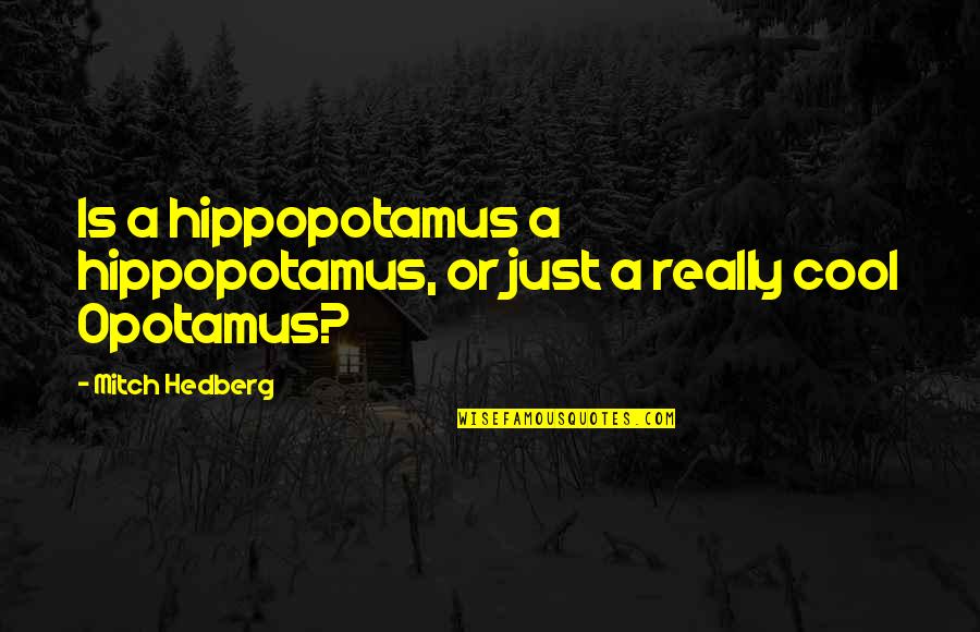 Paul Atreides Fear Quotes By Mitch Hedberg: Is a hippopotamus a hippopotamus, or just a