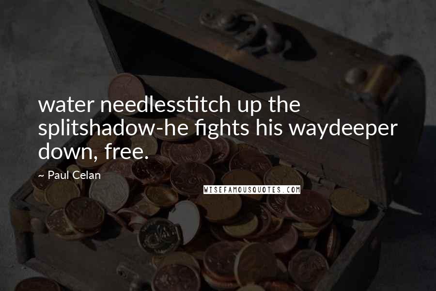 Paul Celan quotes: water needlesstitch up the splitshadow-he fights his waydeeper down, free.