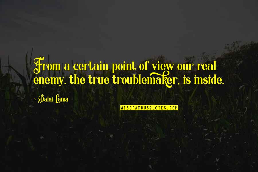 Paul Chaat Smith Quotes By Dalai Lama: From a certain point of view our real