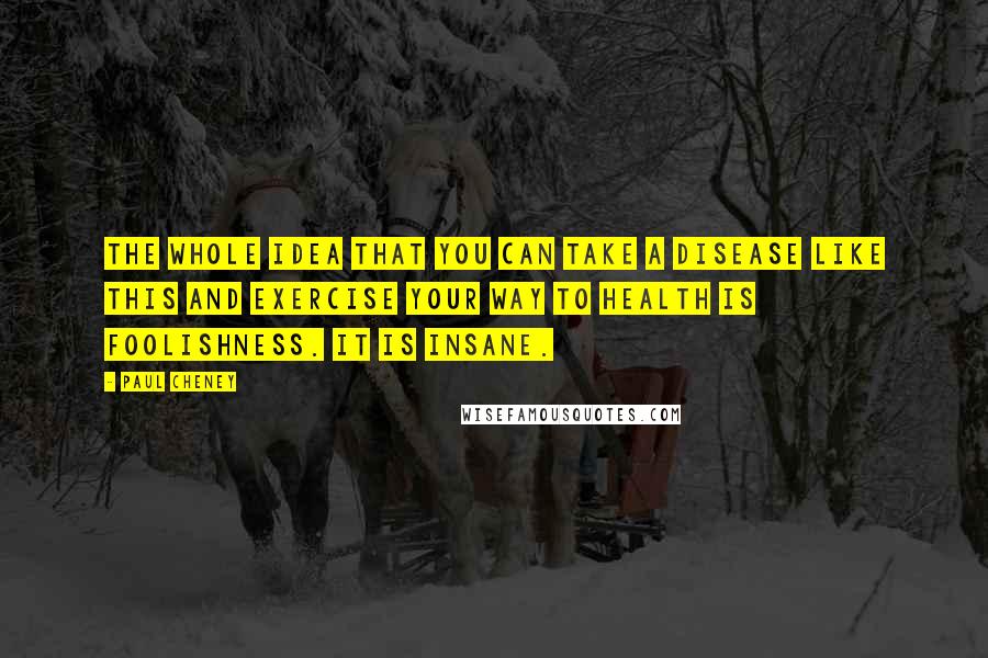 Paul Cheney quotes: The whole idea that you can take a disease like this and exercise your way to health is foolishness. It is insane.