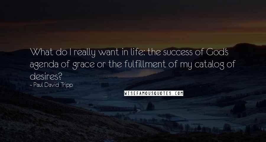 Paul David Tripp quotes: What do I really want in life: the success of God's agenda of grace or the fulfillment of my catalog of desires?