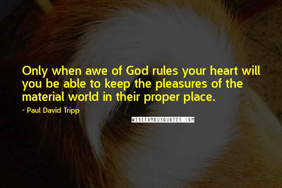 Paul David Tripp quotes: Only when awe of God rules your heart will you be able to keep the pleasures of the material world in their proper place.