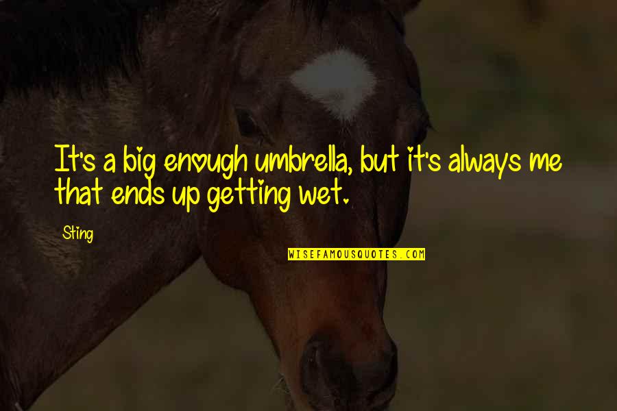 Paul Emile Botta Quotes By Sting: It's a big enough umbrella, but it's always