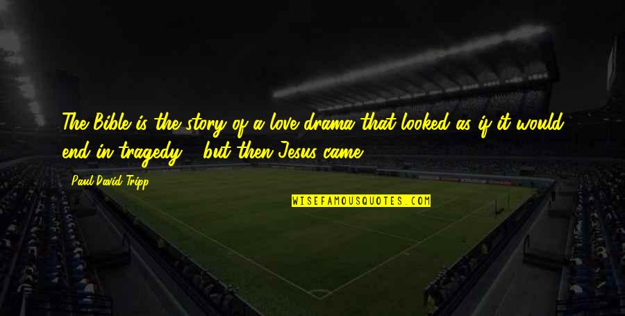 Paul In The Bible Quotes By Paul David Tripp: The Bible is the story of a love Paul In The Bible Quotes By Paul David Tripp: The Bible is the story of a love