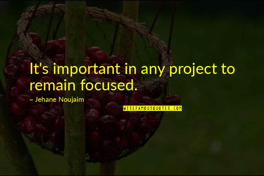 Paul-jean Toulet Quotes By Jehane Noujaim: It's important in any project to remain focused.