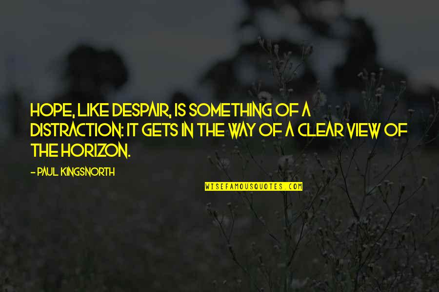 Paul Kingsnorth Quotes By Paul Kingsnorth: Hope, like despair, is something of a distraction: