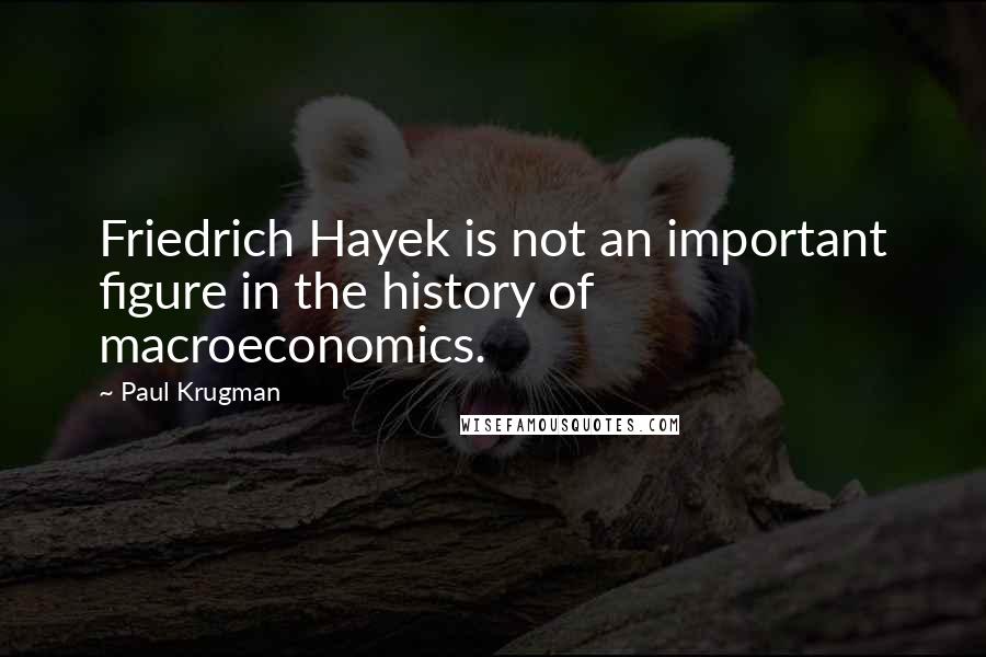 Paul Krugman quotes: Friedrich Hayek is not an important figure in the history of macroeconomics.