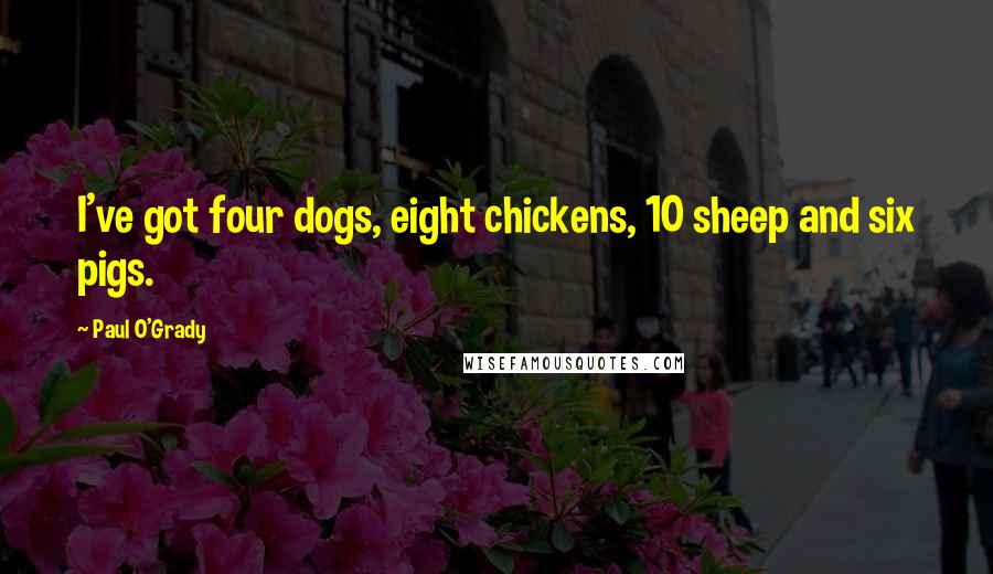 Paul O'Grady quotes: I've got four dogs, eight chickens, 10 sheep and six pigs.