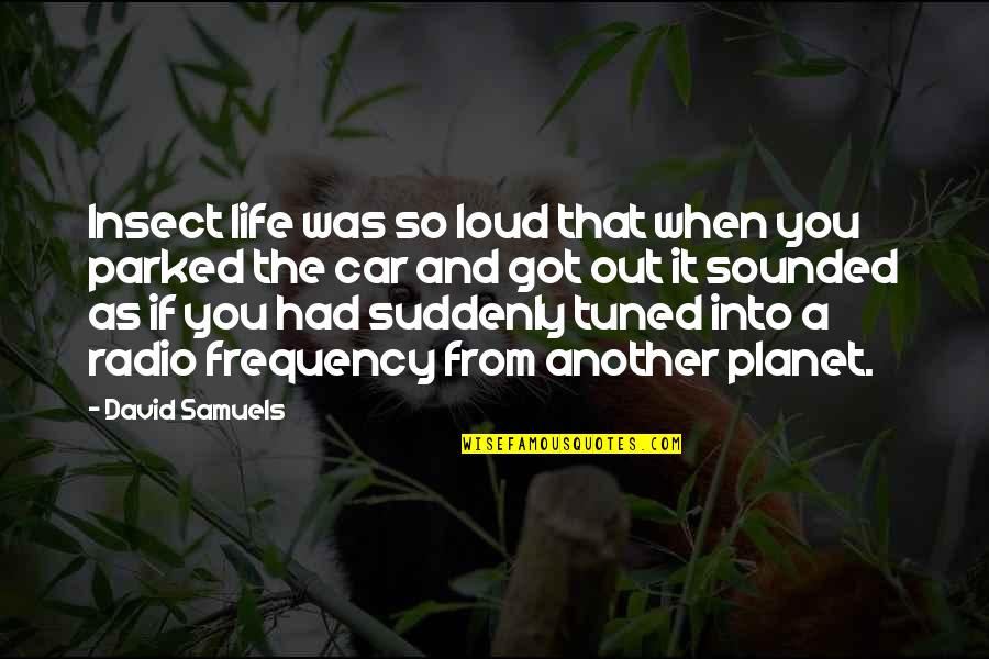 Paul Pogba Funny Quotes By David Samuels: Insect life was so loud that when you Paul Pogba Funny Quotes By David Samuels: Insect life was so loud that when you