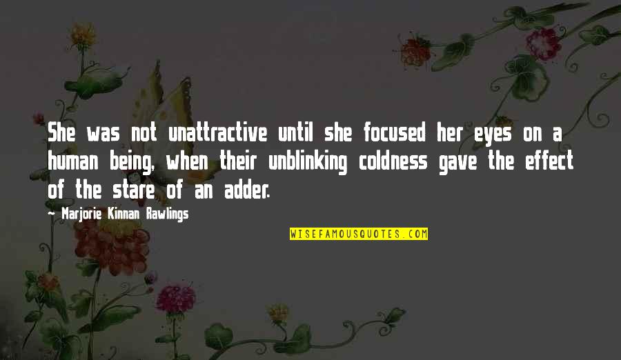Paul Schuitema Quotes By Marjorie Kinnan Rawlings: She was not unattractive until she focused her Paul Schuitema Quotes By Marjorie Kinnan Rawlings: She was not unattractive until she focused her