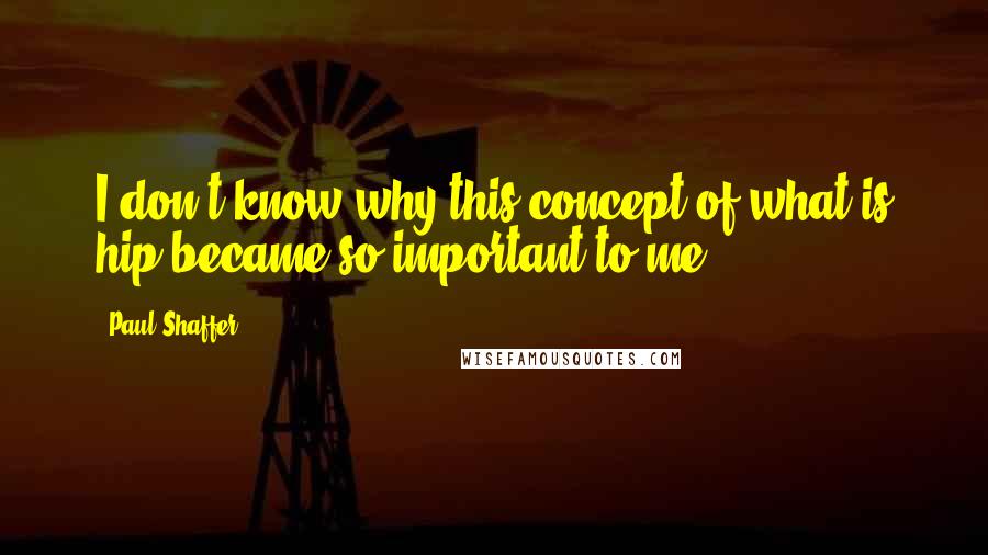 Paul Shaffer quotes: I don't know why this concept of what is hip became so important to me.