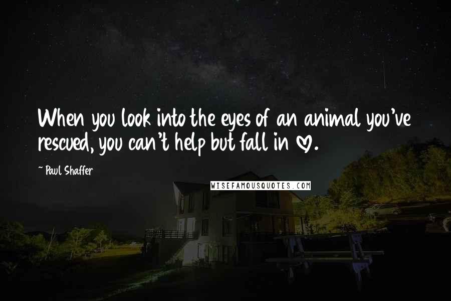 Paul Shaffer quotes: When you look into the eyes of an animal you've rescued, you can't help but fall in love.