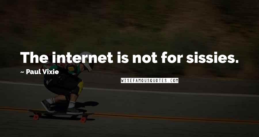 Paul Vixie quotes: The internet is not for sissies.