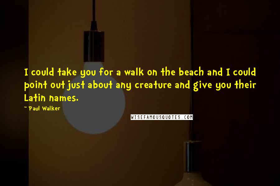 Paul Walker quotes: I could take you for a walk on the beach and I could point out just about any creature and give you their Latin names.
