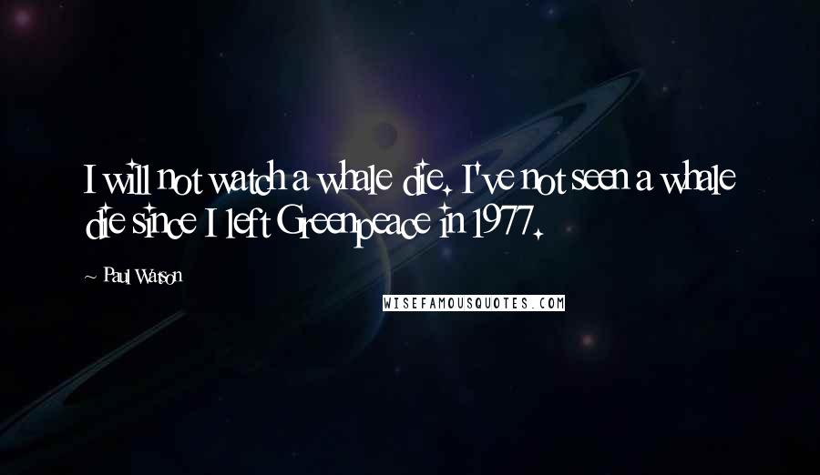 Paul Watson quotes: I will not watch a whale die. I've not seen a whale die since I left Greenpeace in 1977.