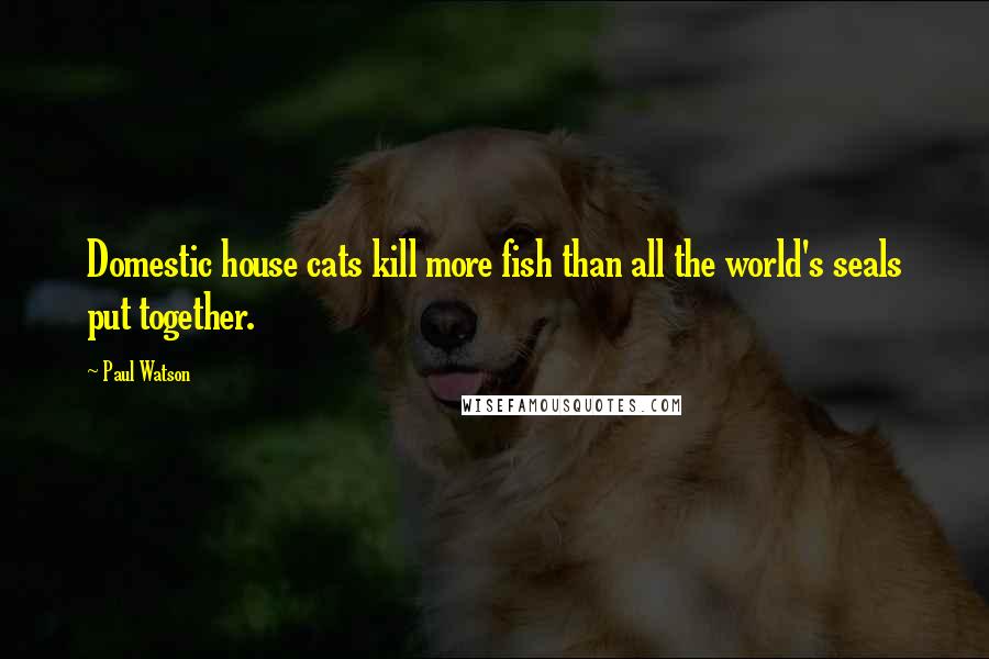 Paul Watson quotes: Domestic house cats kill more fish than all the world's seals put together.