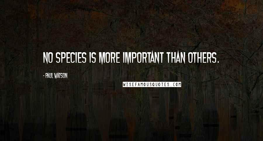 Paul Watson quotes: No species is more important than others.
