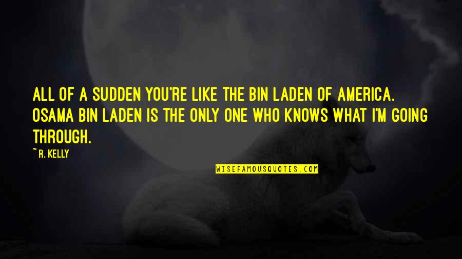 Pauline Oliveros Quotes By R. Kelly: All of a sudden you're like the Bin Pauline Oliveros Quotes By R. Kelly: All of a sudden you're like the Bin