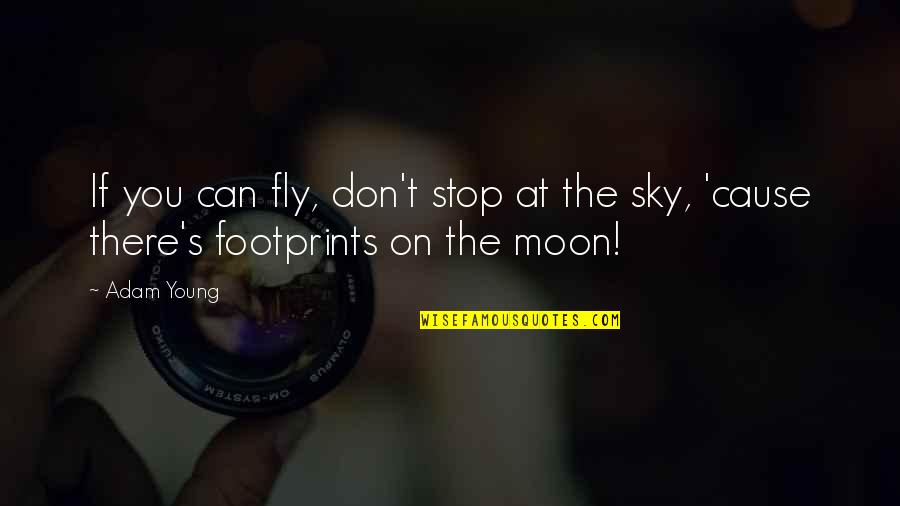 Paulo Coehlo Quotes By Adam Young: If you can fly, don't stop at the