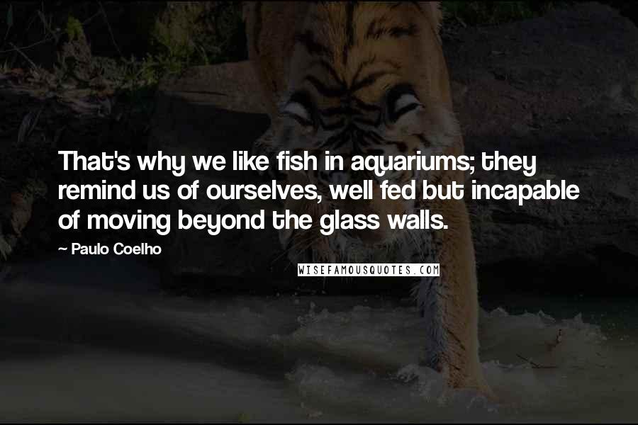 Paulo Coelho quotes: That's why we like fish in aquariums; they remind us of ourselves, well fed but incapable of moving beyond the glass walls.