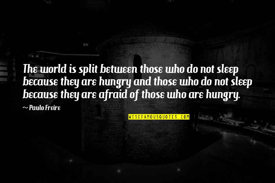 Paulo Freire Quotes By Paulo Freire: The world is split between those who do