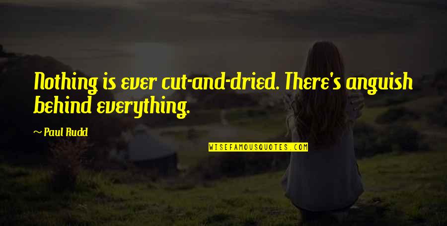 Paul's Quotes By Paul Rudd: Nothing is ever cut-and-dried. There's anguish behind everything.