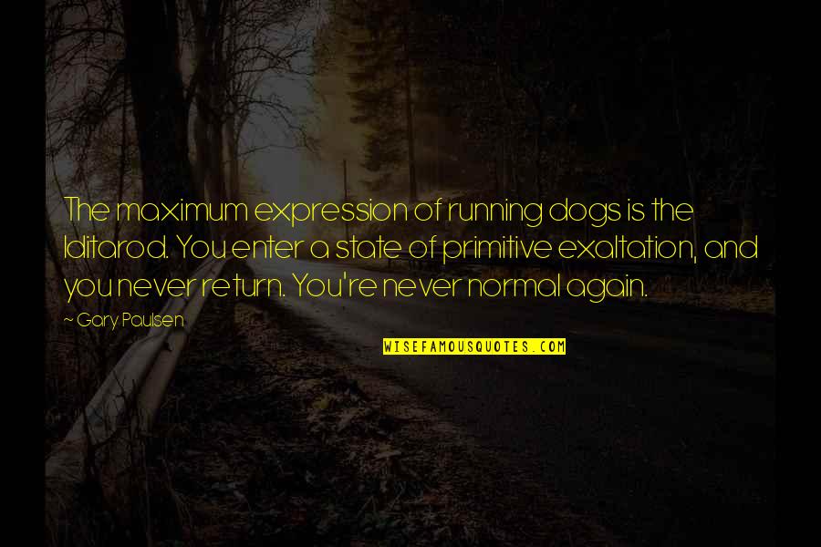 Paulsen Quotes By Gary Paulsen: The maximum expression of running dogs is the