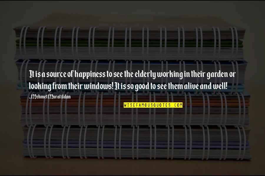 Paunches Pilot Quotes By Mehmet Murat Ildan: It is a source of happiness to see