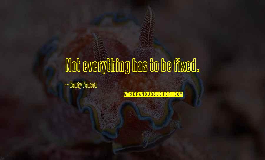 Pausch Randy Quotes By Randy Pausch: Not everything has to be fixed.