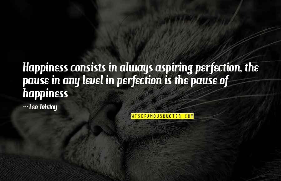 Pause Quotes By Leo Tolstoy: Happiness consists in always aspiring perfection, the pause