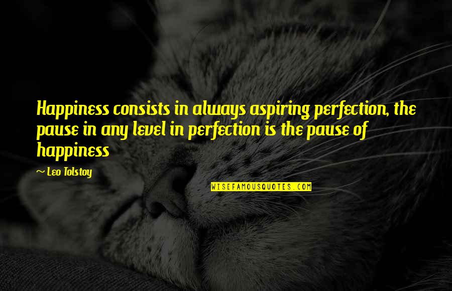 Pause The Quotes By Leo Tolstoy: Happiness consists in always aspiring perfection, the pause