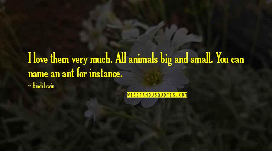 Pautsch Pac Quotes By Bindi Irwin: I love them very much. All animals big