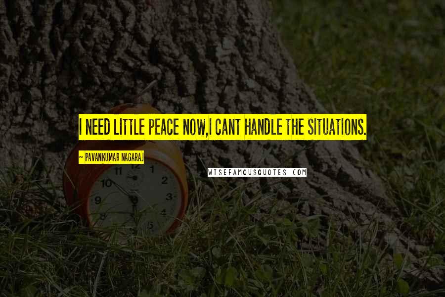 Pavankumar Nagaraj quotes: I need little peace now,i cant handle the situations.