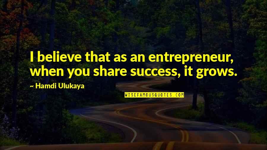 Pavano Ludlow Quotes By Hamdi Ulukaya: I believe that as an entrepreneur, when you