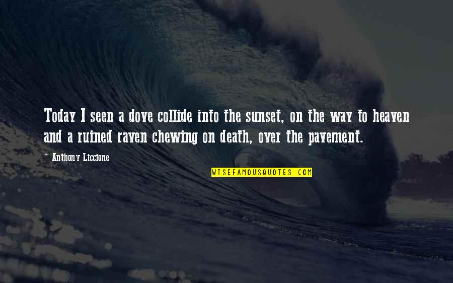Pavement Quotes By Anthony Liccione: Today I seen a dove collide into the Pavement Quotes By Anthony Liccione: Today I seen a dove collide into the