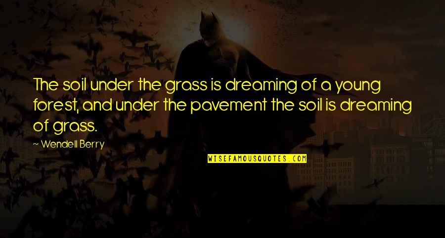 Pavement Quotes By Wendell Berry: The soil under the grass is dreaming of Pavement Quotes By Wendell Berry: The soil under the grass is dreaming of
