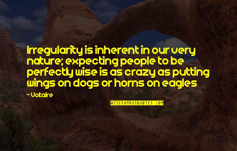 Pavement Song Quotes By Voltaire: Irregularity is inherent in our very nature; expecting Pavement Song Quotes By Voltaire: Irregularity is inherent in our very nature; expecting