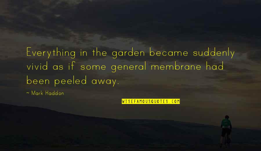 Pavlick Hill Quotes By Mark Haddon: Everything in the garden became suddenly vivid as