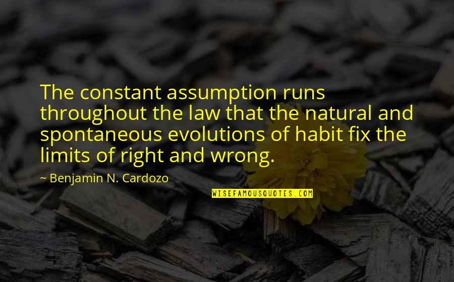 Pavlidis Wines Quotes By Benjamin N. Cardozo: The constant assumption runs throughout the law that Pavlidis Wines Quotes By Benjamin N. Cardozo: The constant assumption runs throughout the law that