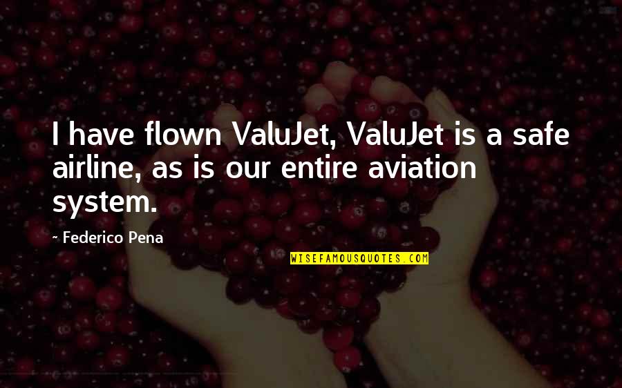 Pavs Tacos Quotes By Federico Pena: I have flown ValuJet, ValuJet is a safe