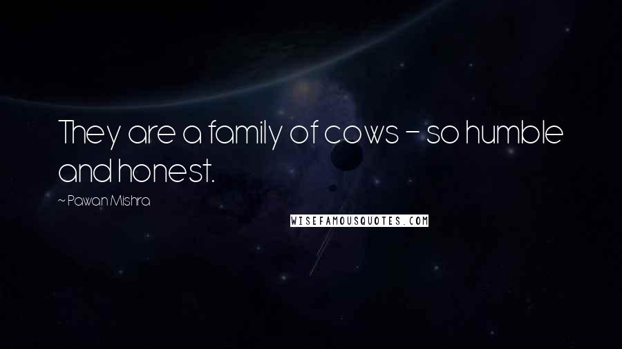 Pawan Mishra quotes: They are a family of cows - so humble and honest.
