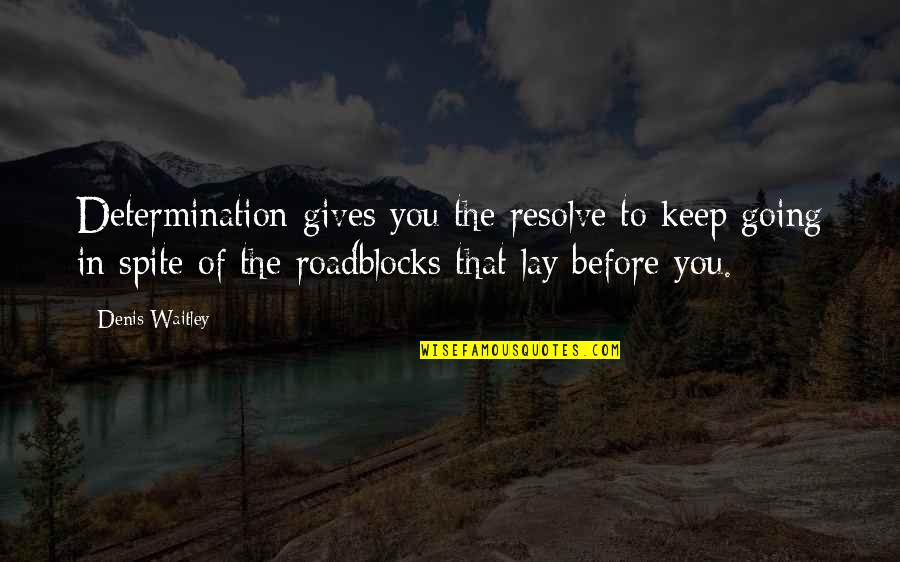 Pawing Bracelet Quotes By Denis Waitley: Determination gives you the resolve to keep going