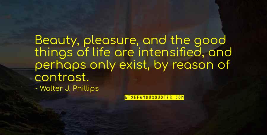 Pawlikowski Hickory Quotes By Walter J. Phillips: Beauty, pleasure, and the good things of life