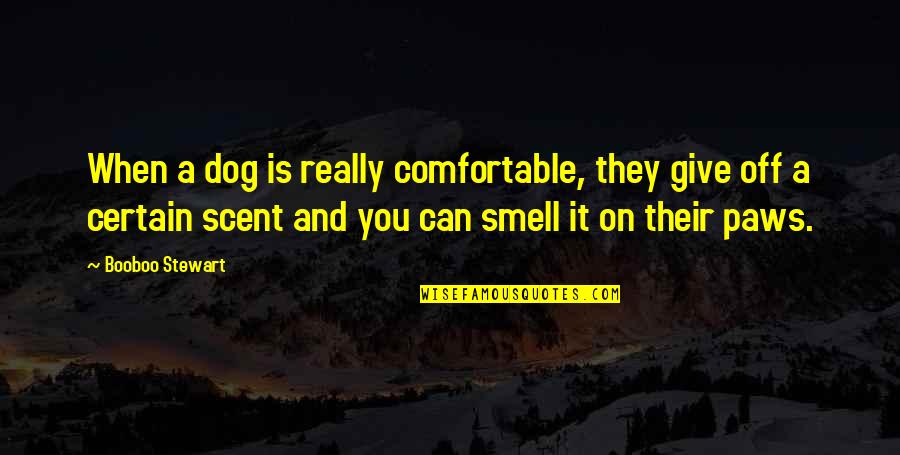 Paws Quotes By Booboo Stewart: When a dog is really comfortable, they give