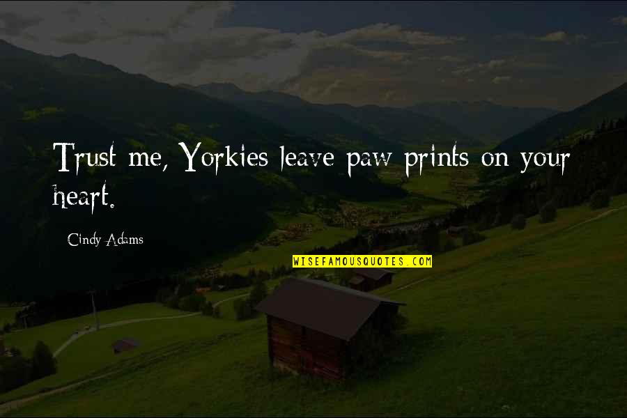 Paws Quotes By Cindy Adams: Trust me, Yorkies leave paw prints on your